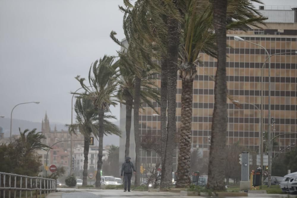 Hohe Wellen und starke Windböen auf Mallorca