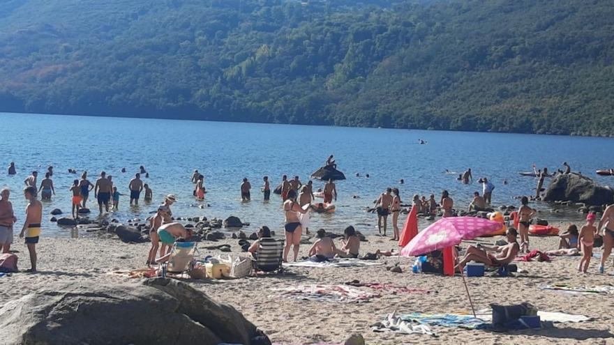 La ceniza de los incendios causa la muerte de algas y amenaza el ecosistema del Lago de Sanabria