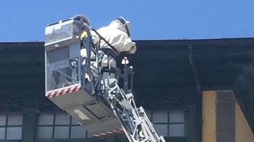 Así fue la intervención de los bomberos para retirar un enjambre de abejas