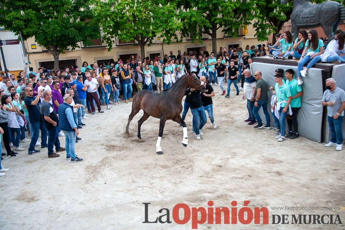 Entrada de Caballos al Hoyo en el día 1 de mayo