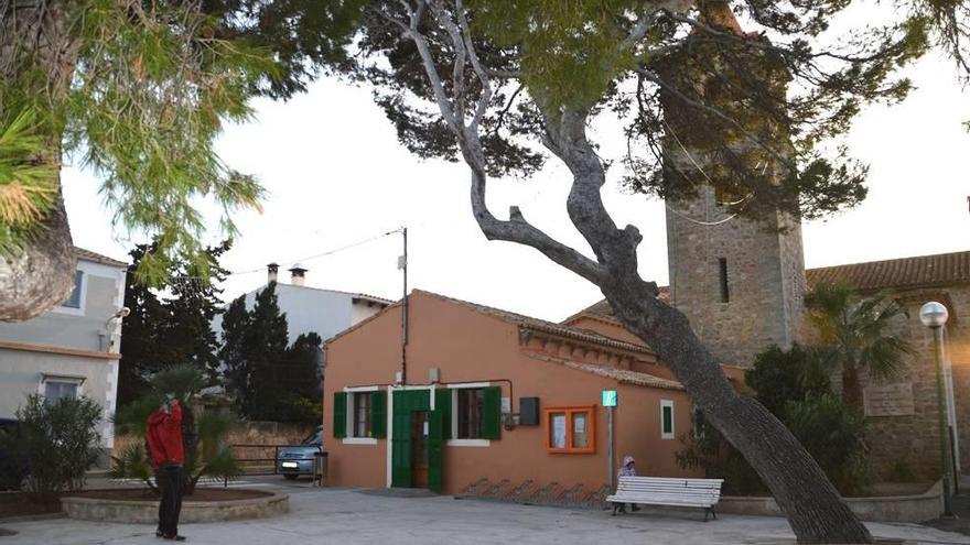 Pinos inclinados en la plaza de la Colònia de Sant Pere.