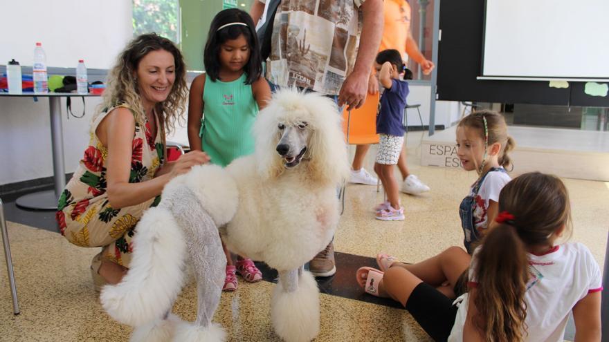 Terapia con perros para los niños con necesidades especiales de Lorca