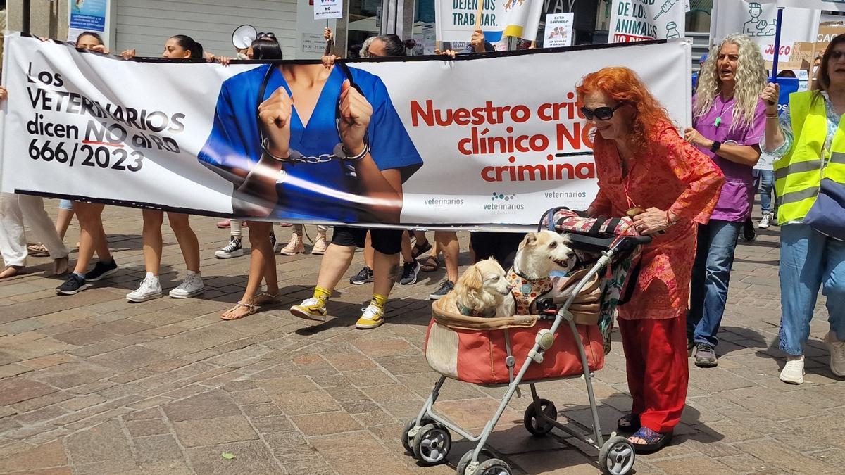 Varios asistentes a la manifestación de Santa Cruz de Tenerife, con sus mascotas.