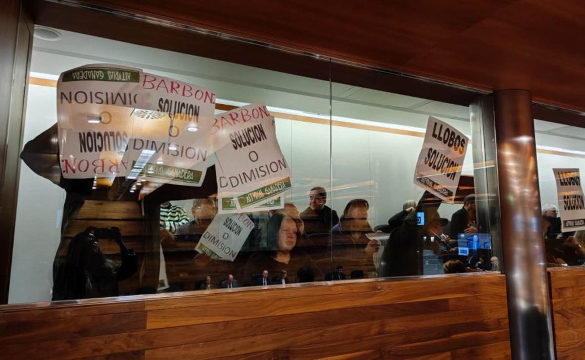 Los colectivos agrarios, durante el Pleno, con pancartas para reclamar una mejor gestión del lobo. | A. G-OVIES