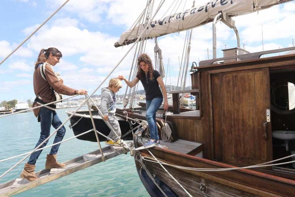 Cerca de 250 personas, repartidas en 13 grupos, han participado en el II Concurs d´arròs mariner Peix Nostrum