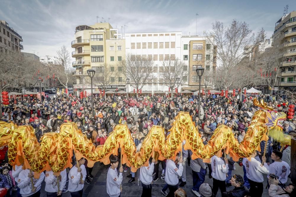 Año Nuevo Chino 2019 en Palma