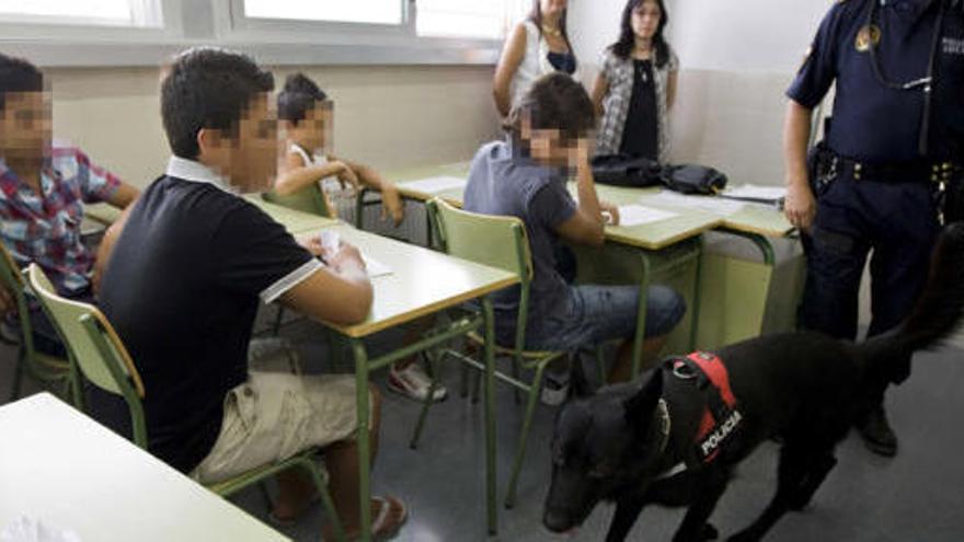 La unidad de policías con perro actuó en el primer día de clase en el Instituto de El Pla.