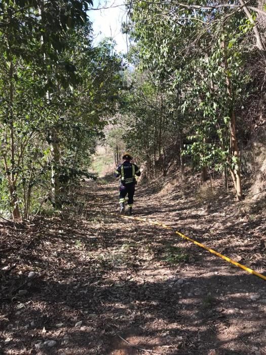 Incendio forestal en la partida Rqier Alt de Alcoy