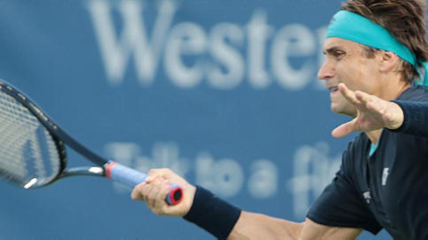 David Ferrer