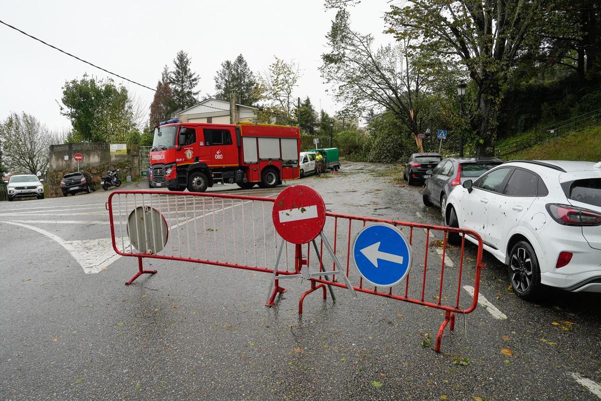 Retirada de árboles caídos en O Castro, en Vigo.