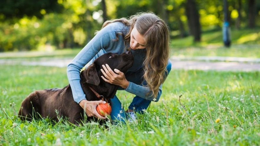 Què significa que acariciïs un gos quan el veus, segons la psicologia