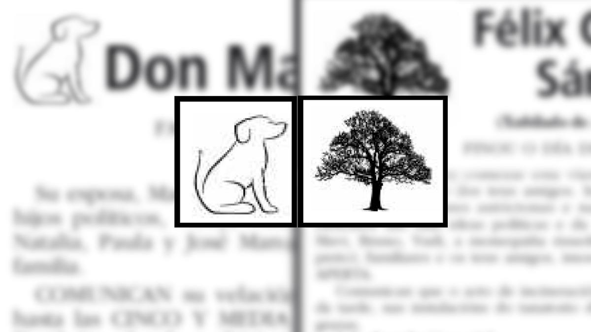 El can y el árbol plasmados en lugar de la cruz latina.