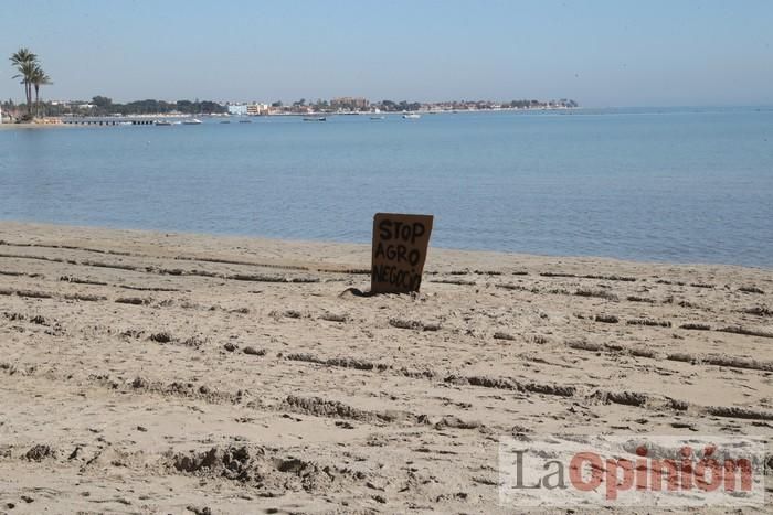 Manifestación 'Los Alcázares por su futuro'