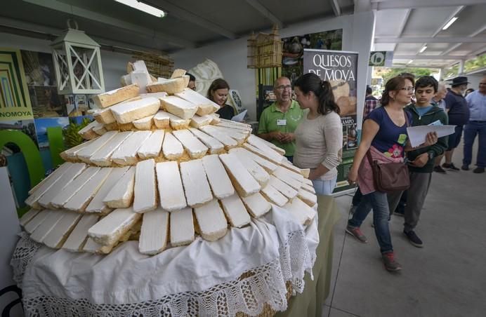 ARUCAS GRAN CANARIA A 27/05/2017. Feria de Ganado en la Granja del Cabildo de Gran Canaria. FOTO: J.PÉREZ CURBELO