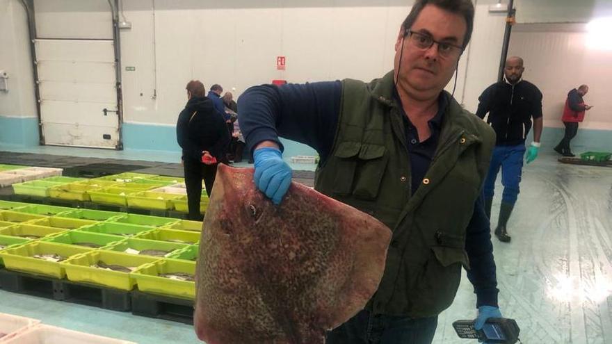 Os peixes-estrela do Nadal empezan a elevar xa a súa cotización nas principais lonxas galegas