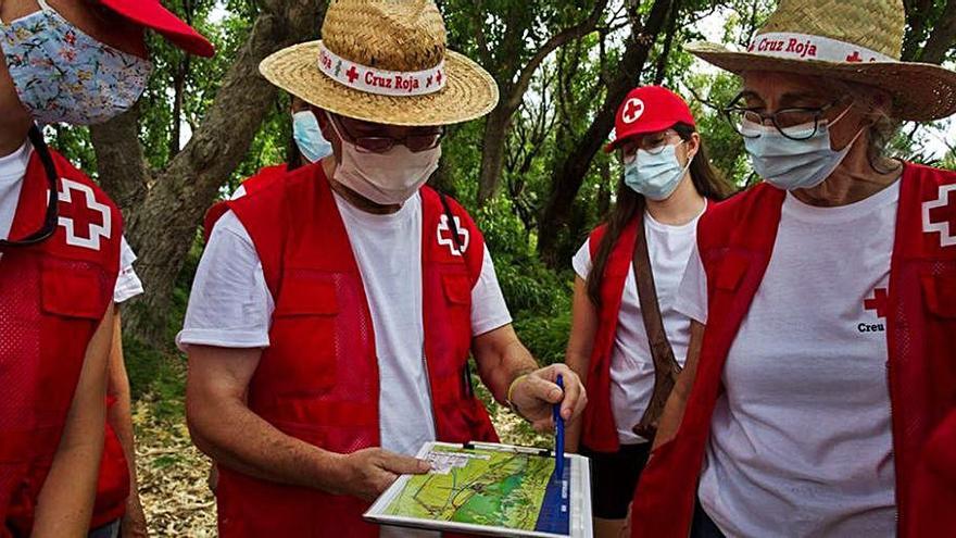 Un grupo de voluntarios mira el mapa de l?Albufera.