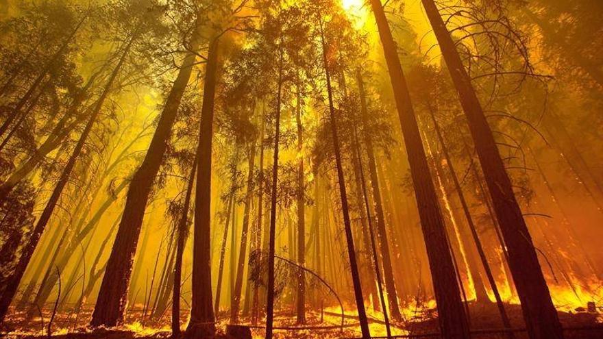 El incendio del parque nacional de Yosemite ya ha arrasado más de 60.000 hectáreas