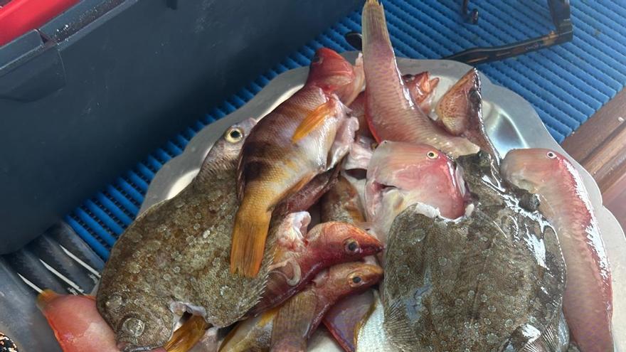 Pescadores de Baleares califican de "insulto" la propuesta para limitar los días de pesca de la flota de arrastre