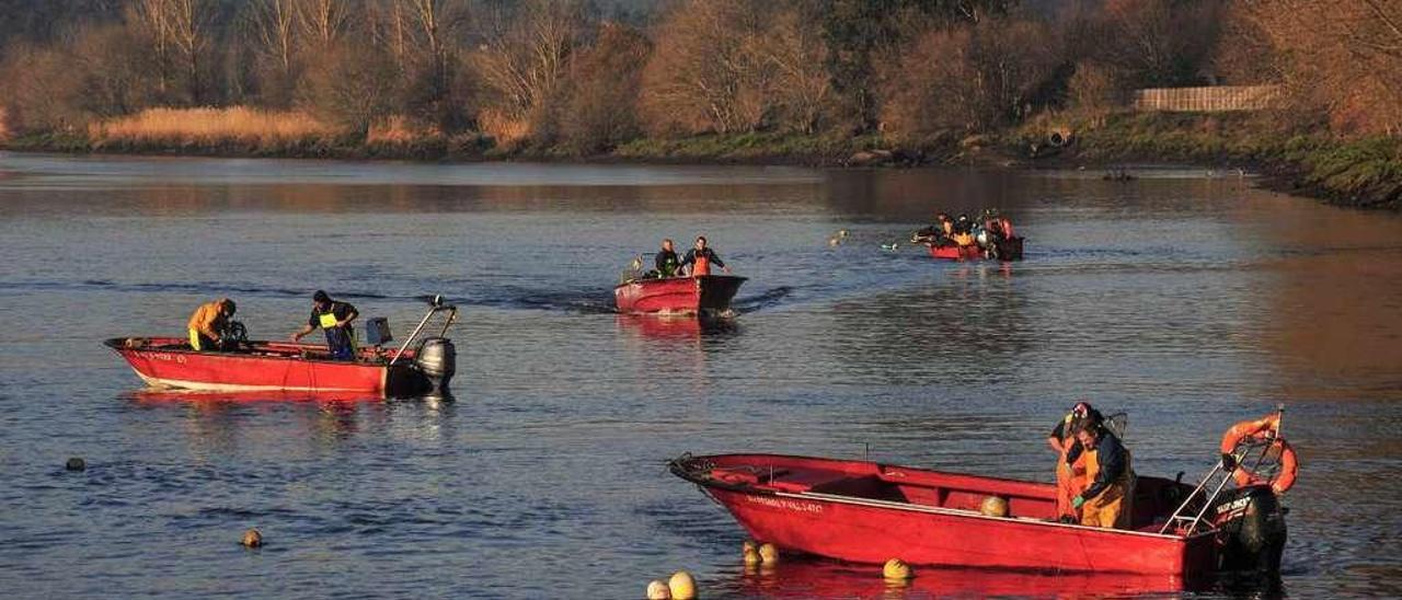 Pescadores de lamprea en el río Ulla, a la altura de Pontecesures. // Iñaki Abella