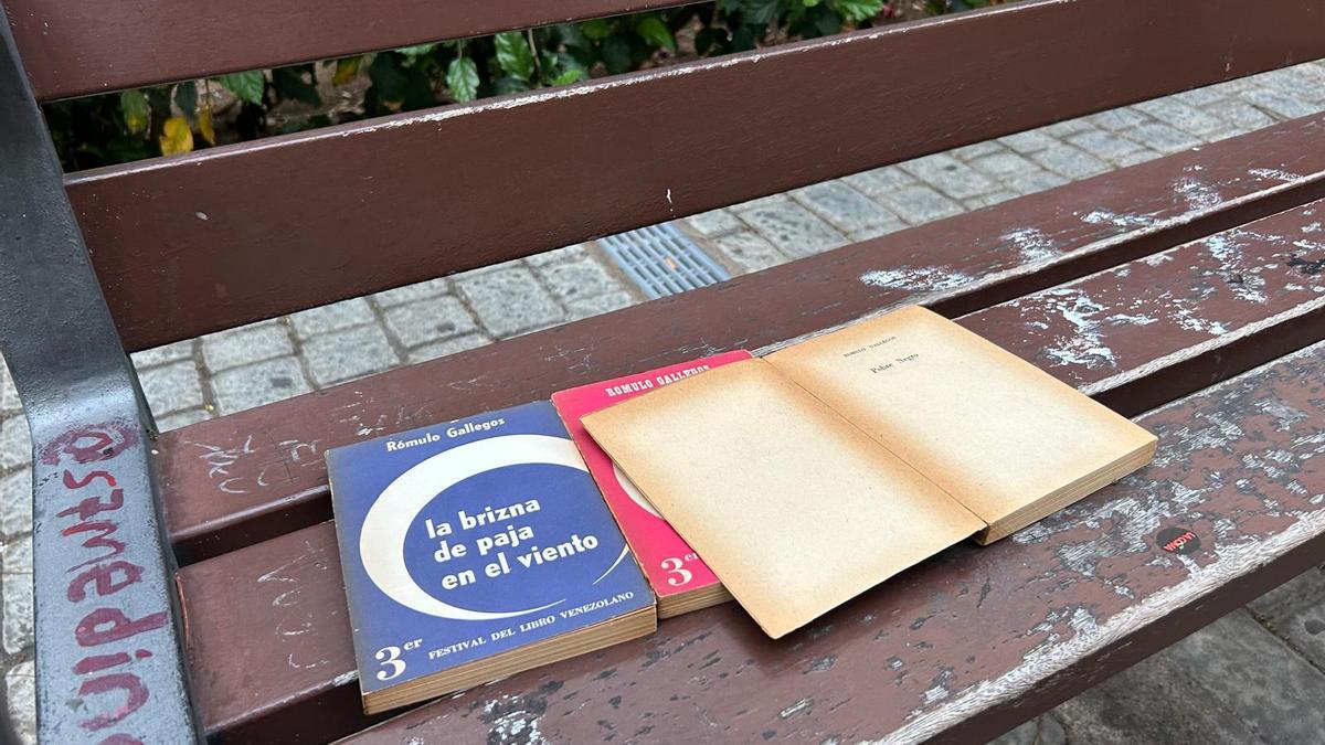 Así respondieron al reto del 'bookcrossing' en Las Palmas de Gran Canaria