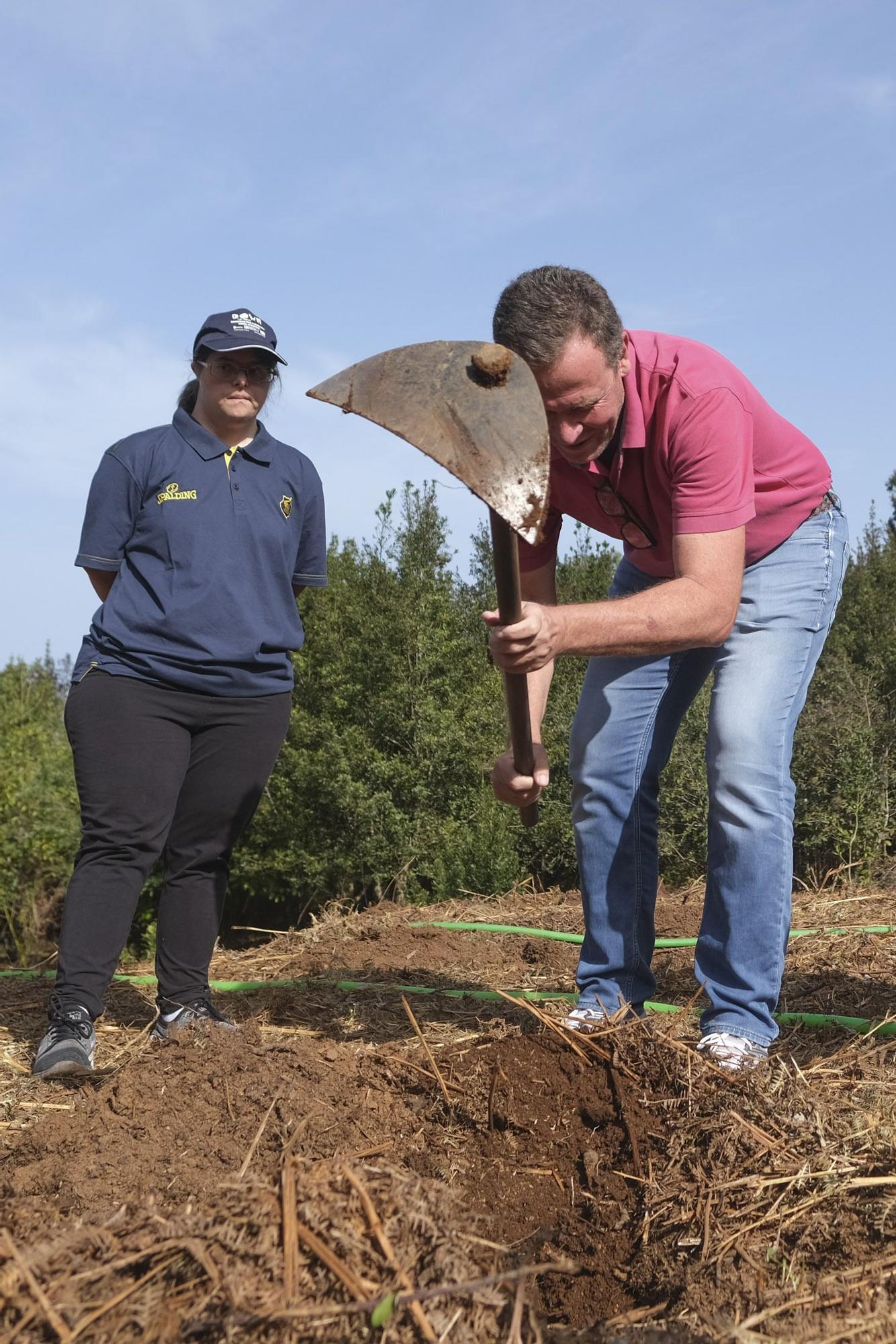 Reforestación Compromiso Granca