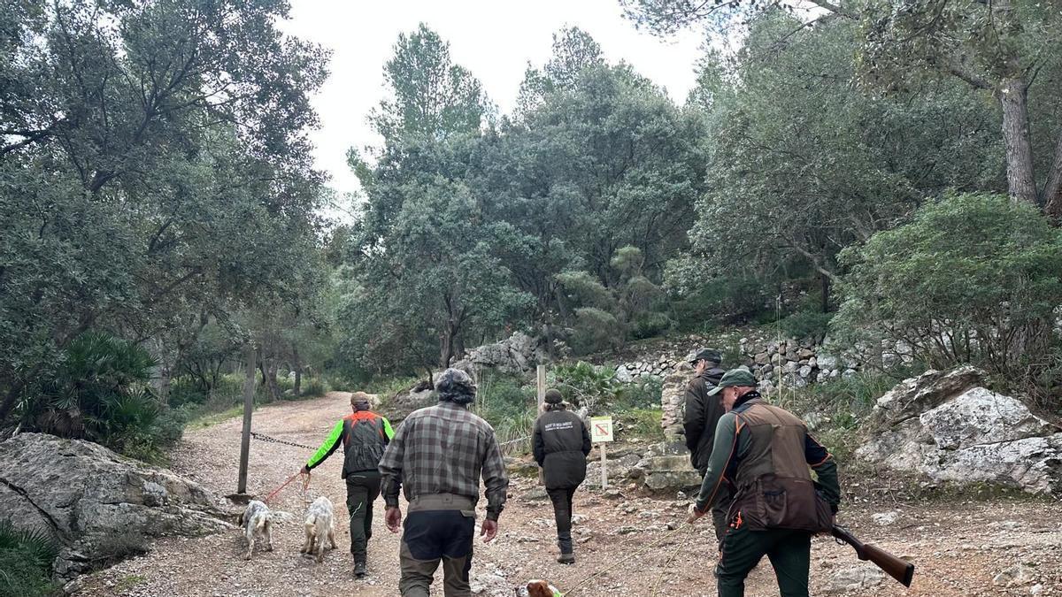 imagen de unos cazadores en Mallorca. El Consell quiere implantar la caza en las fincas públicas.