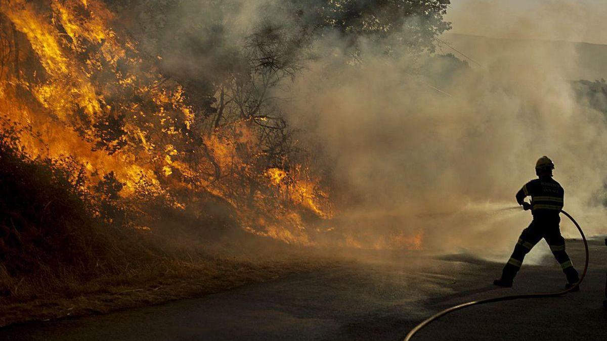 Un bombero sofoca las llamas del incendio declarado en el concello ourensano de Cualedro.