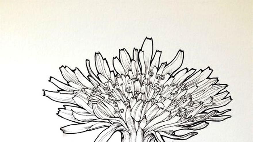 Online. Las malas yerbas. Taller de dibujo e ilustración botánica