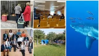Las 5 noticias del día que no te puedes perder