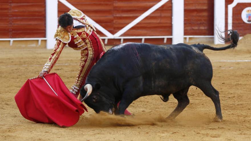 Baleares aprueba las corridas de toros sin muerte y sin sangre