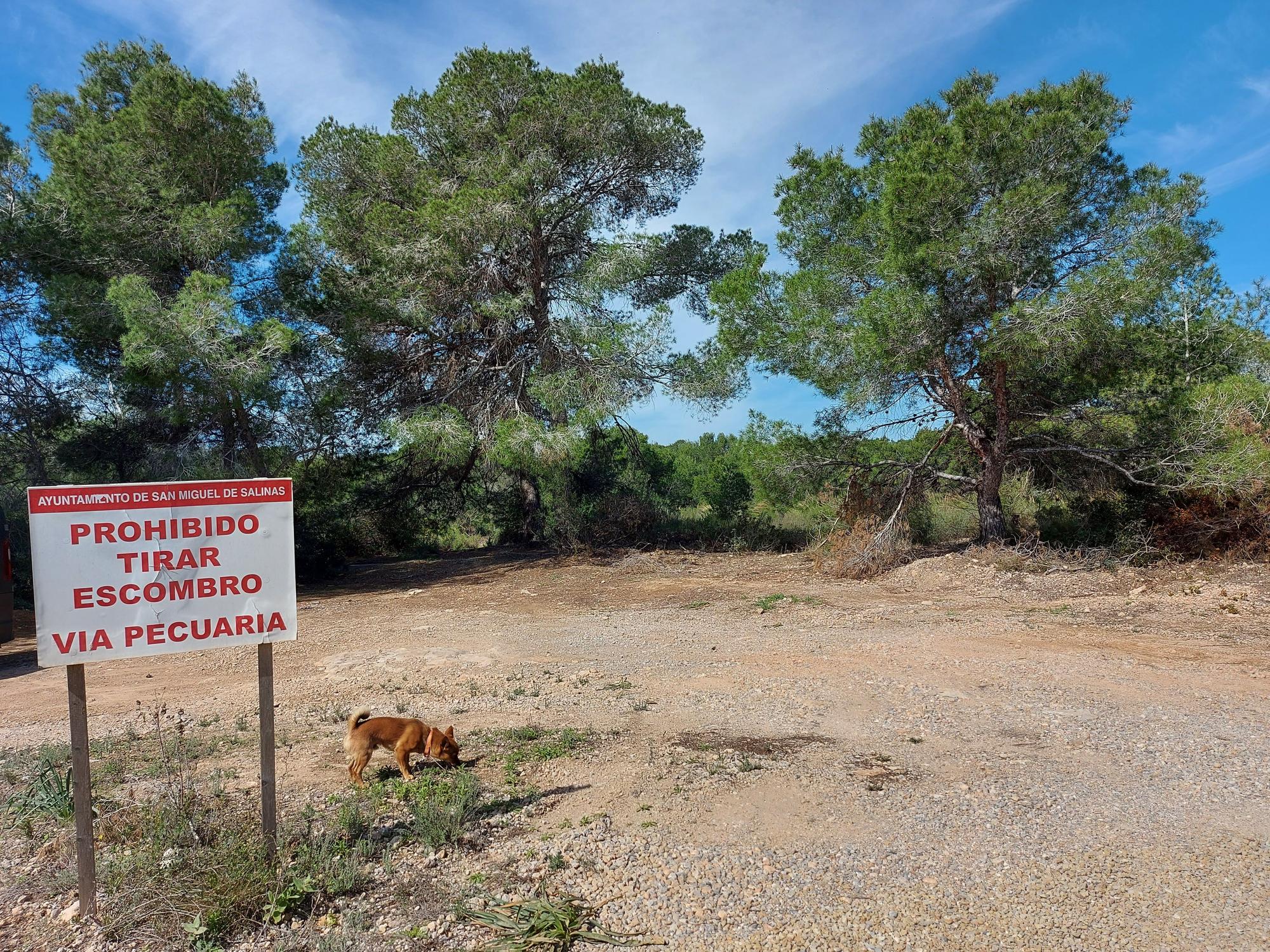 Unas 150 personas participan en una marcha por la colada de Sierra Escalona