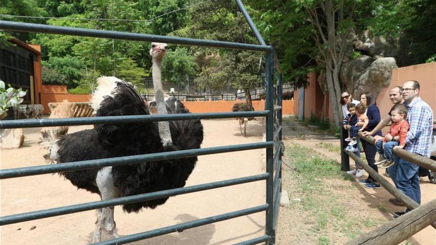 IU critica que el alcalde externalice el cuidado de los jardines del zoo