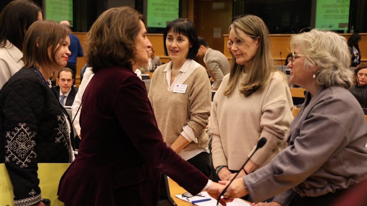 Las víctimas de la dana alertan en Bruselas contra el uso de ayudas europeas para políticas negacionistas