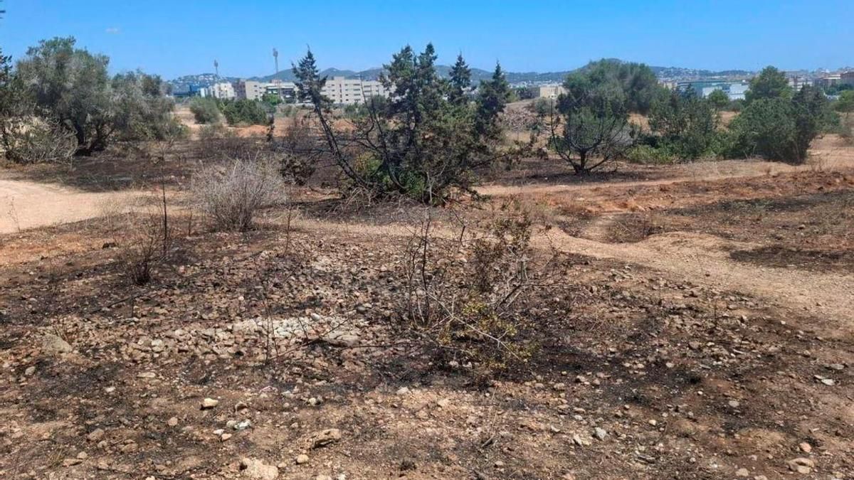 Parte del terreno de Ca n’Escandell afectado por el incendio
