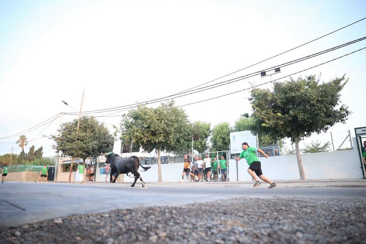 Vecinos y visitantes disfrutaron del 'bou en corda'.