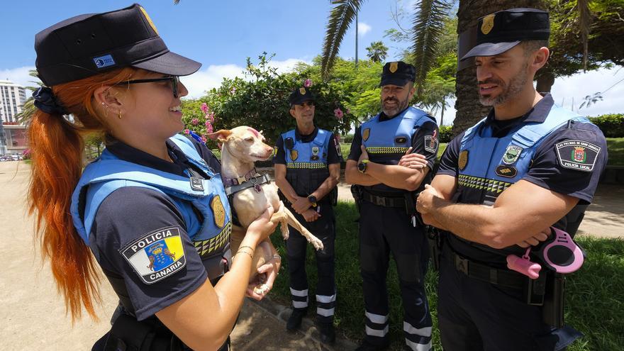 El único grupo de protección animal de Canarias cumple su primer aniversario