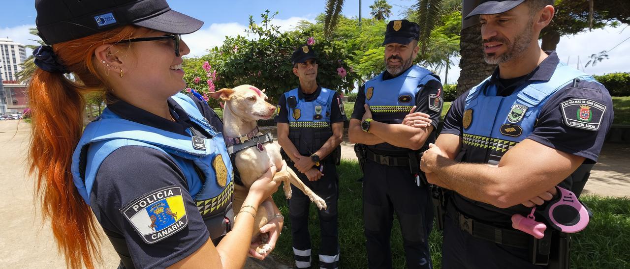 El grupo de protección animal de la Unidad de Mediación y Convivencia de la Policía Local vela por la seguridad de los animales.