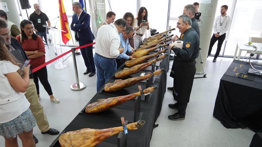 Doce empresas optan al mejor jamón en Villanueva de Córdoba