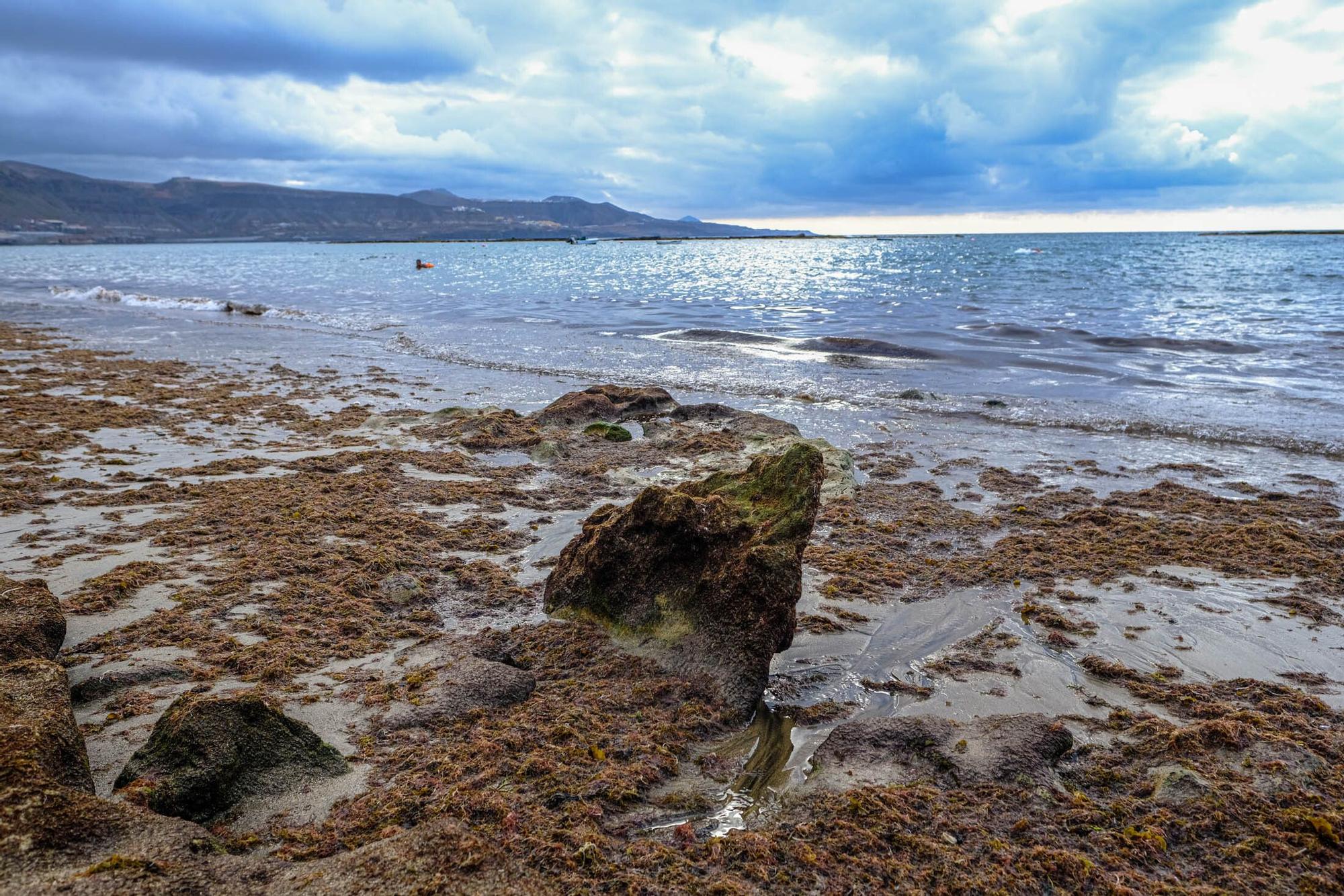 Playas fósiles de Las Canteras