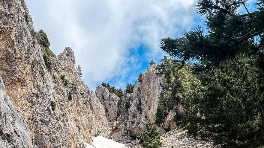 Mig miler d'inscrits a la primera edició de la Port del Comte Skyrace