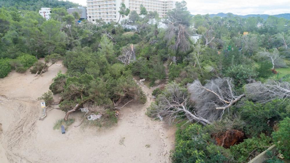 La palabra que más empleaban vecinos y curiosos para describir el paisaje era «guerra»