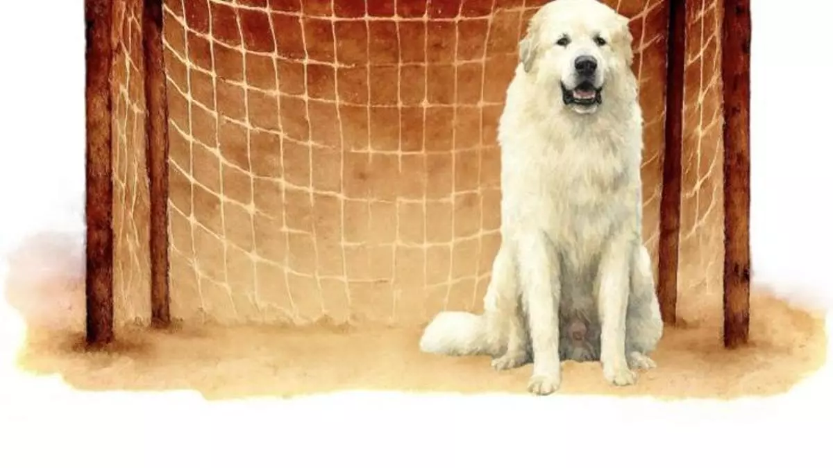 "Fútbol, perros y valores": descubre el libro de Antonio Gorriaran Laza y José David Rodríguez García en el que se unen estas dos pasiones