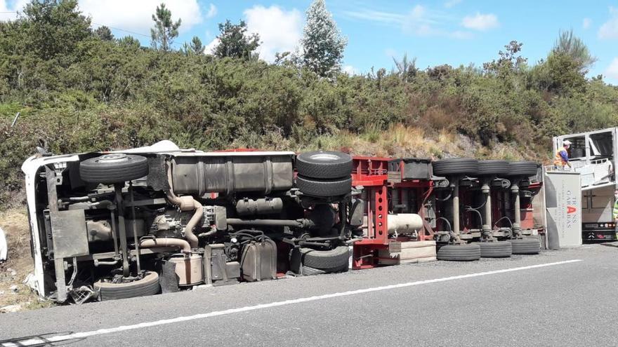 Dos personas heridas y 15 cerdos muertos al volcar un camión