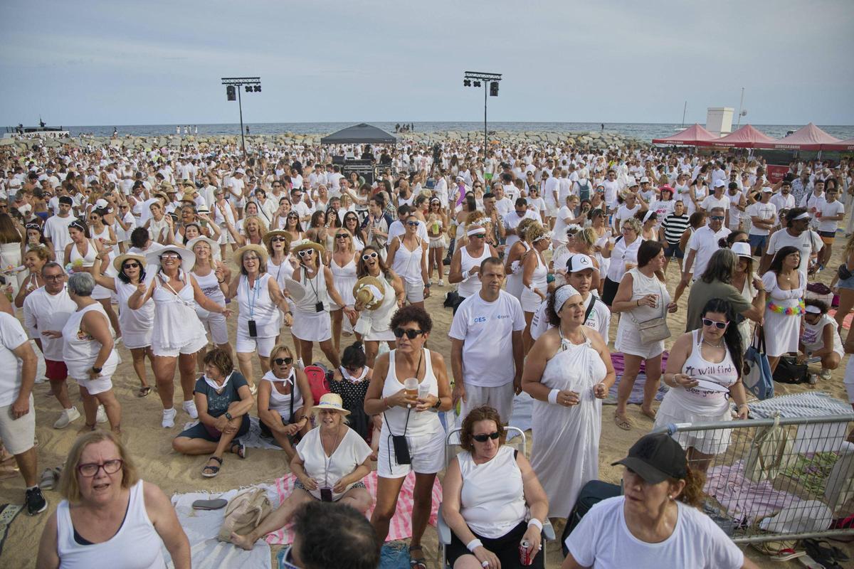 Les imatges del Diverbeach