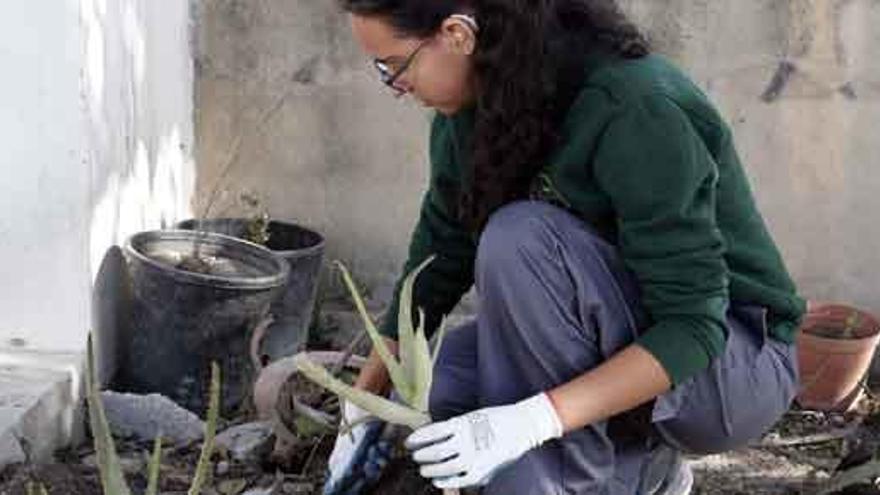 Convocadas las ayudas en programas de formación rural