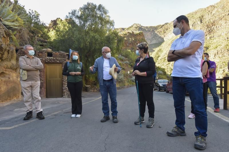 Inauguración del camino de las bestias en Ingenio