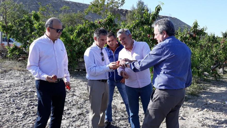 El consejero de Agricultura, Miguel Ángel del Amor, se reunió ayer con los agricultores perjudicados.