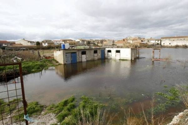 Fotogalería: La crecida del Ebro a su paso por Zaragoza