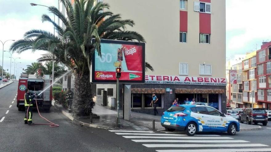 Un vecino de Escaleritas incendia una palmera con un cigarrillo