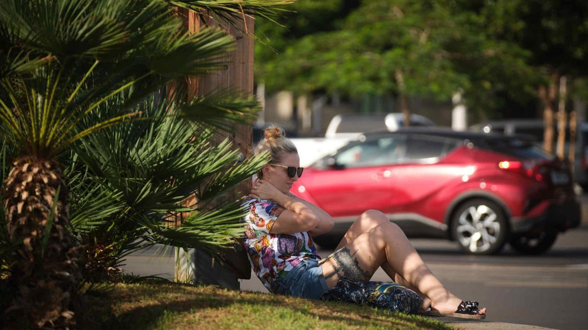 Jornada de calor y calima en Tenerife